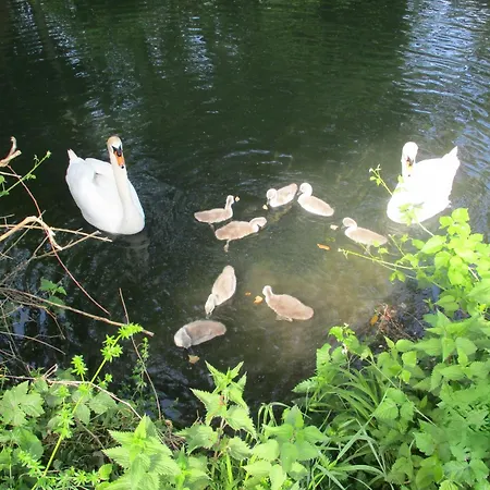 Agreable Maison ! Casa de Férias *